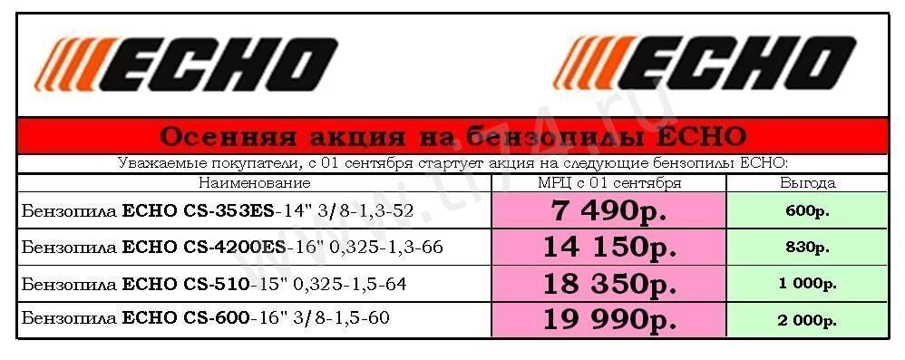 Акция на бензопилы ECHO осень 2013